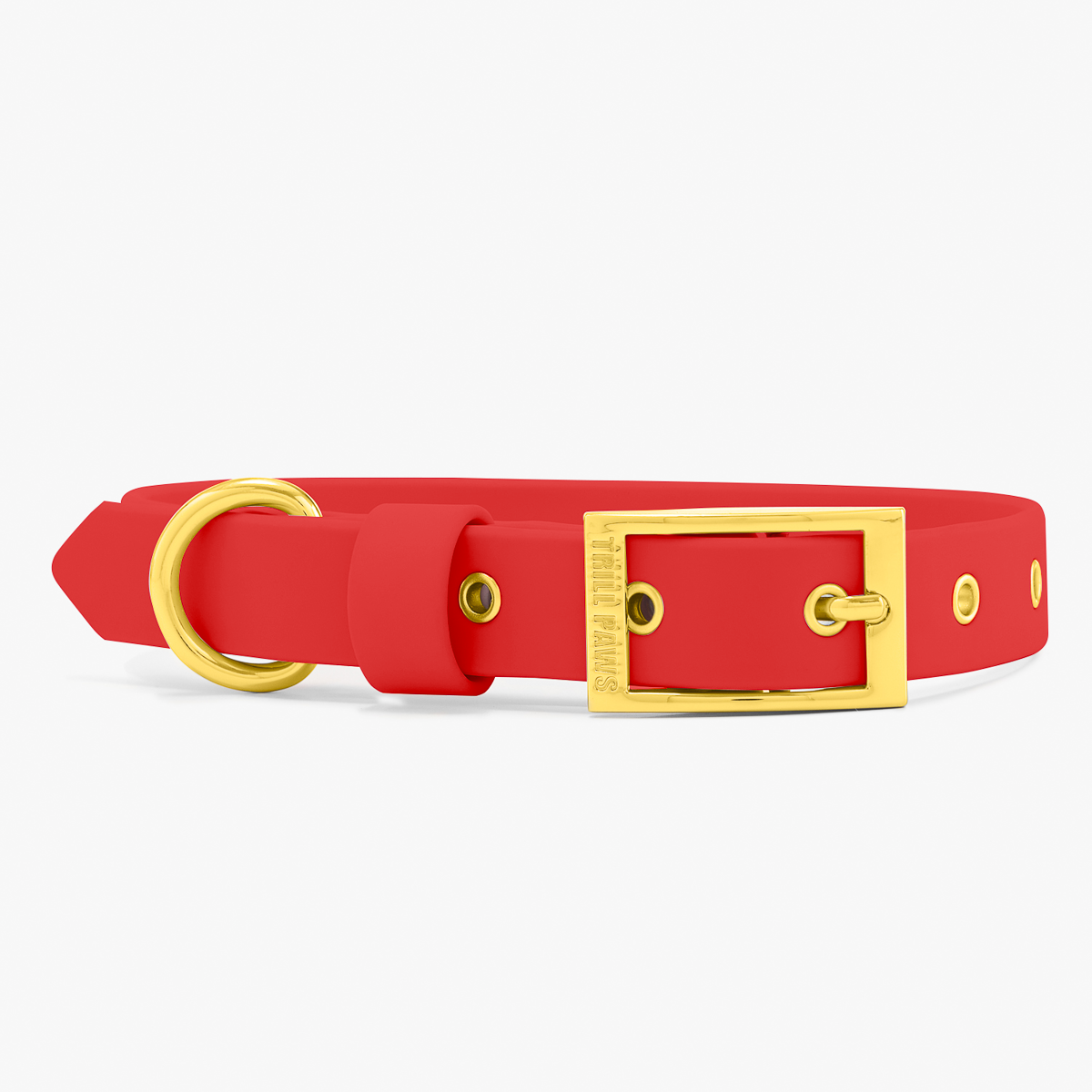 Charm Collar